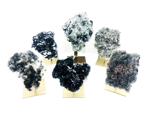 Flower Plates on Stands